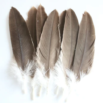 

10 Pcs/lot Natural Eagle Feathers 25-30 Cm/10-12 Inches Celebration Decoration Jewelry Accessories Stage Performance Diy Plumes