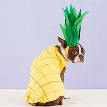 Рождественский костюм для собак в форме ананаса; наряд для щенка; праздничный Декор