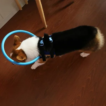 

Blind Pet Anti-collision Ring Animal Protection Circle Guide Dog Ring For Small Dogs with Sick Eyes Prevent Collide Wall *