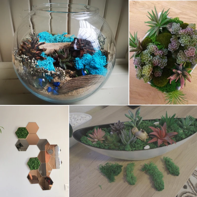 Искусственное растение вечная жизнь Мох/сад украшение дома стены DIY цветок материал Мини Сад Микро Ландшафтные аксессуары