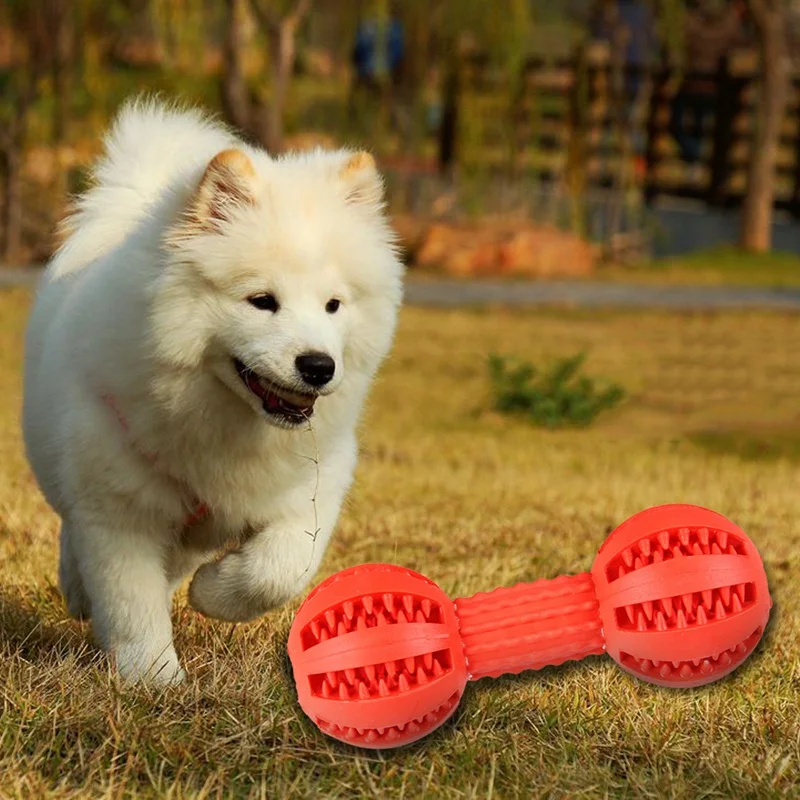 Топ-Pet собака жевательные игрушки Резиновая кость гантели для укуса щенка коренной чистый зуб жевательная игрушка-красный