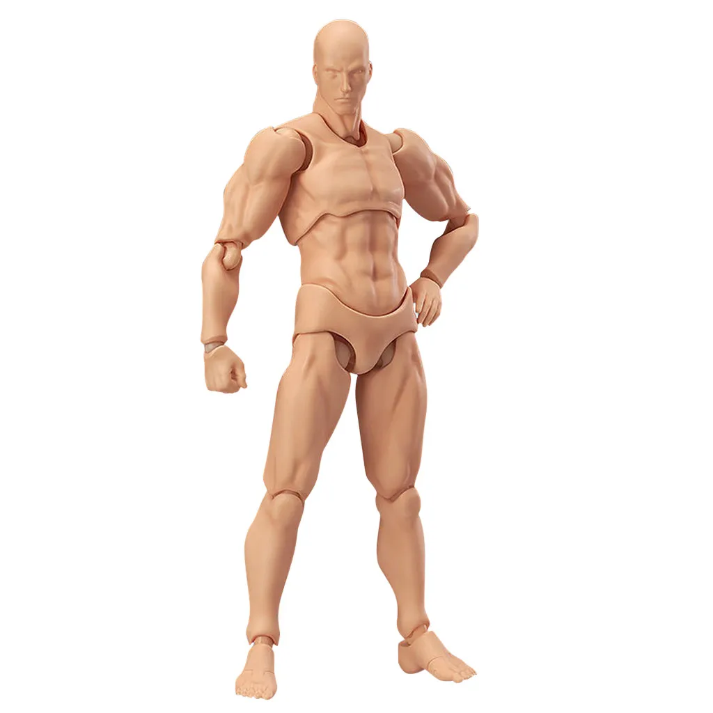 

Action Figure Toy artist Art painting Human Doll Drawing Figures For Artists Action Figure Model Human Mannequin Man Woman Kits