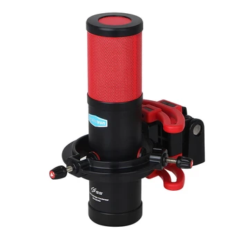 

Alctron CS55 Large Diaphragm Condenser Microphone Professional Recording Microphone Used in Studio and Stage Performance