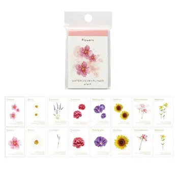 

Mini Fruits Ocean Handbook Notepad Paper Sticky Notes Scrapbook Stationary Diary Flakes Translucent Memo Flower Decorative S9C7