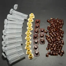 Вывод маток для пчеловодства, коробка 100 шт., Коричневые чашки для клеток, держатель клеток для волос, Cupularve Пасечник, инструменты для выращивания меда