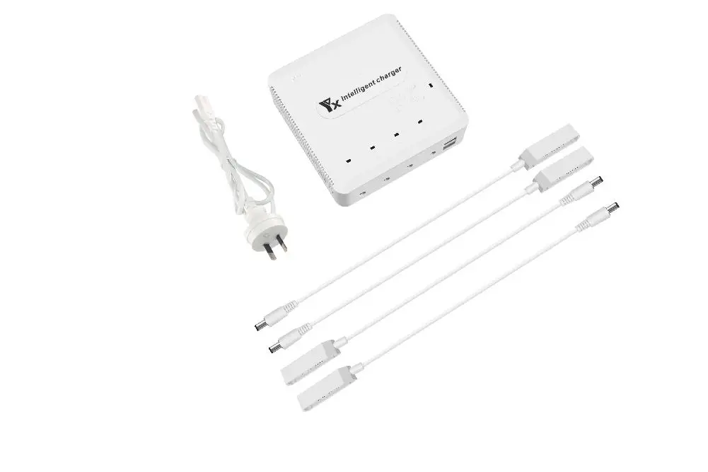 HobbyLane 6-IN-1 Multi Charger for Drone Battery Charging Hub Intelligent Smart Battery Charger with USB Port for Controller