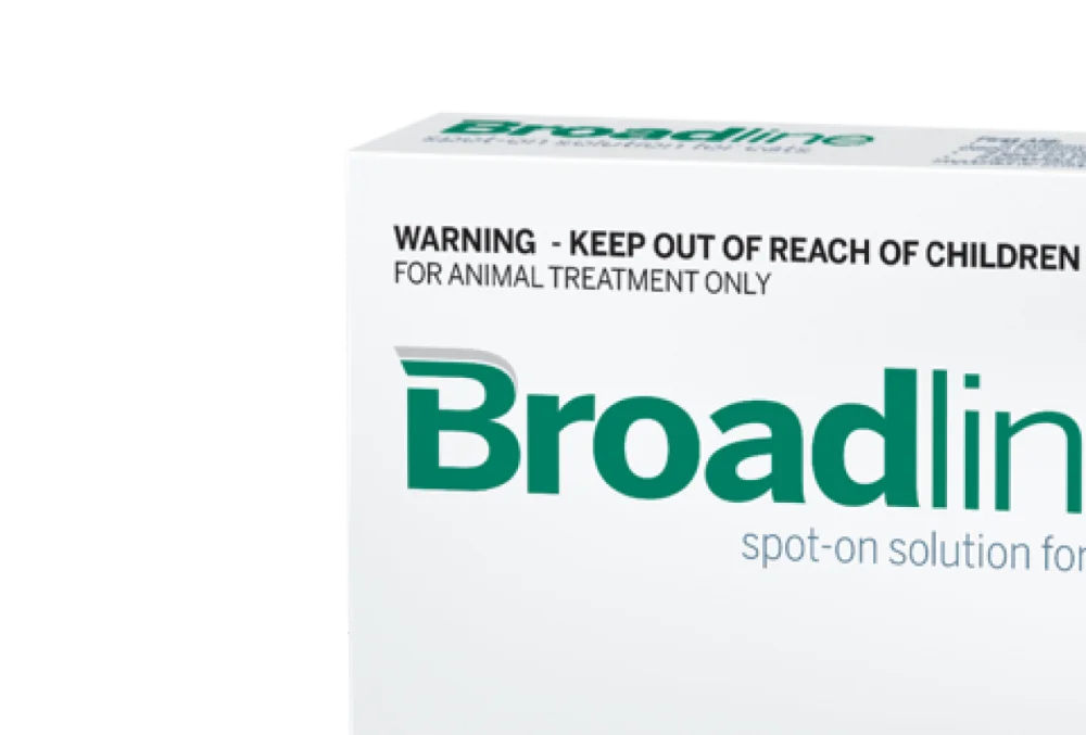 H4b4c6110881548b78f735d1c9c55b5e0Q