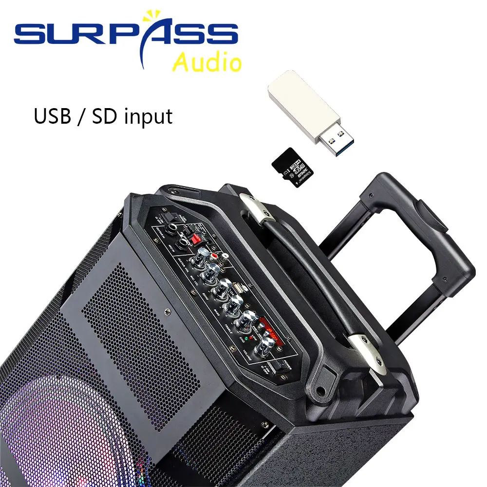 Outdoor or Home Karaoke Bass Treble Bluetooth Microphone Speaker 10'' Portable Battery Loudspeaker with FM Radio LED Light USB