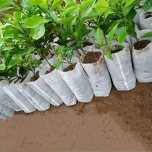 100 Uds plantas de semillero bolsas para vivero biodegradables orgánicas bolsas de cultivo de tela ecológica bolsas de cultivo de ventilación
