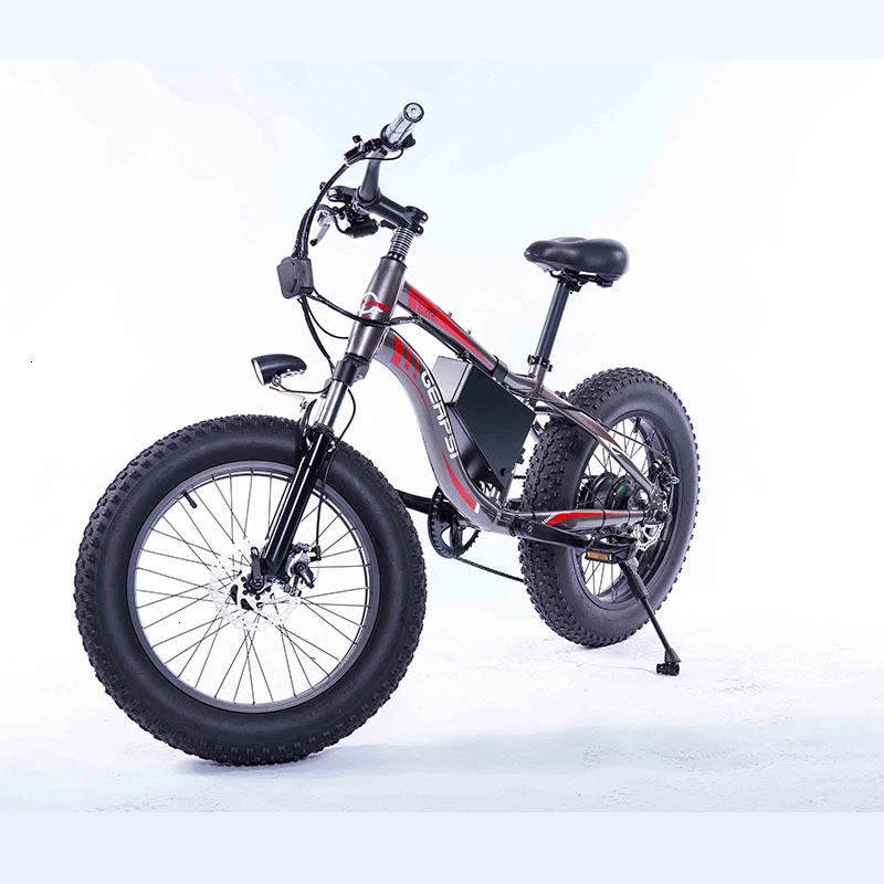 

Firsthand factory 36V 350W motor 10AH 20" Folding Fat Tire Electric Bike Mountain Beach Cruiser EBike battery