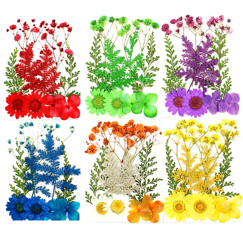 10pcs/set Pressed Flowers Yellow Red Orange Blue Green Real Dried Flowers Diy Resin Mold