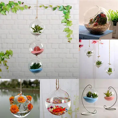 10 CM Transparent Clear Wall Hanging Glass Vase Terrarium Plants Flower Hydroponic Micro Landscape DIY Candlestick Home Decor 2