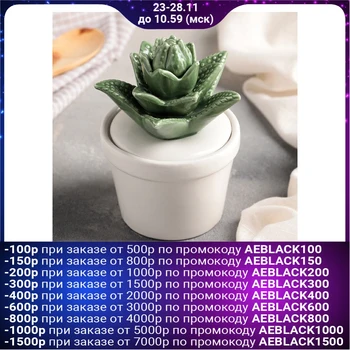 

Bank for bulk products "Cactus", 200 ml