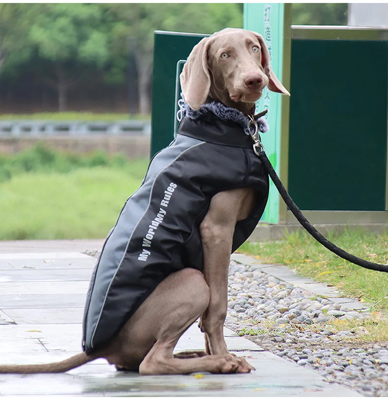 Dog Jacket with Harness | Waterproof Jacket for Large Dog | Big Windproof Coats