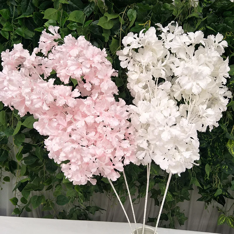 IMG20190718063741