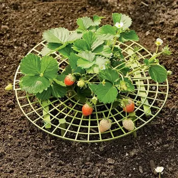 

5 Pcs Strawberry Plant Support Cradle Rack Strawberry Plastic Rack For Strawberry Gardening Supplies