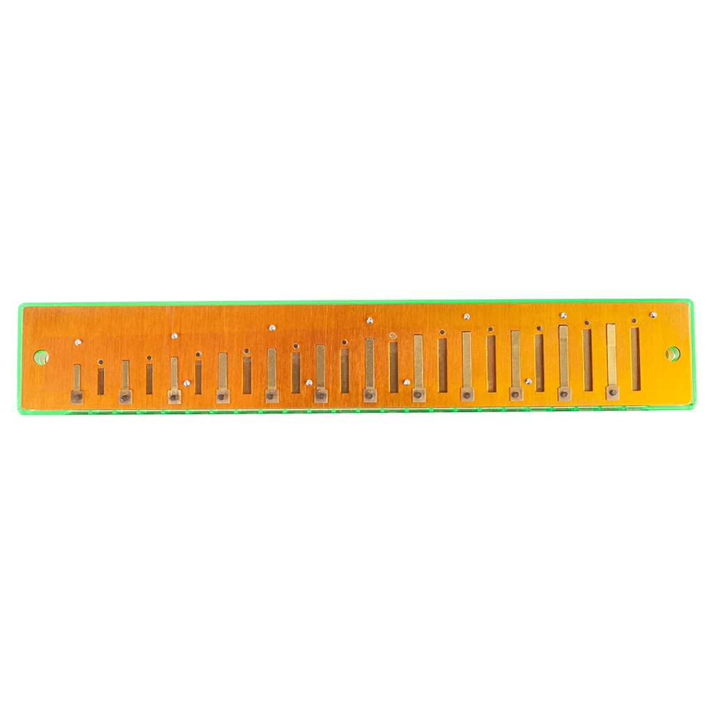 24 Holes Harmonica Comb with Reeds Set C Key for Students Adults Music Lovers