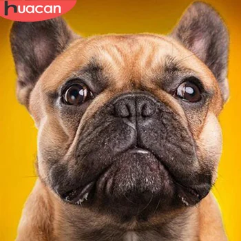 

HUACAN 5D DIY Diamond Painting Cross Stitch Animal Full Drill Embroidery Dog Mosaic Handmade Home Decoration