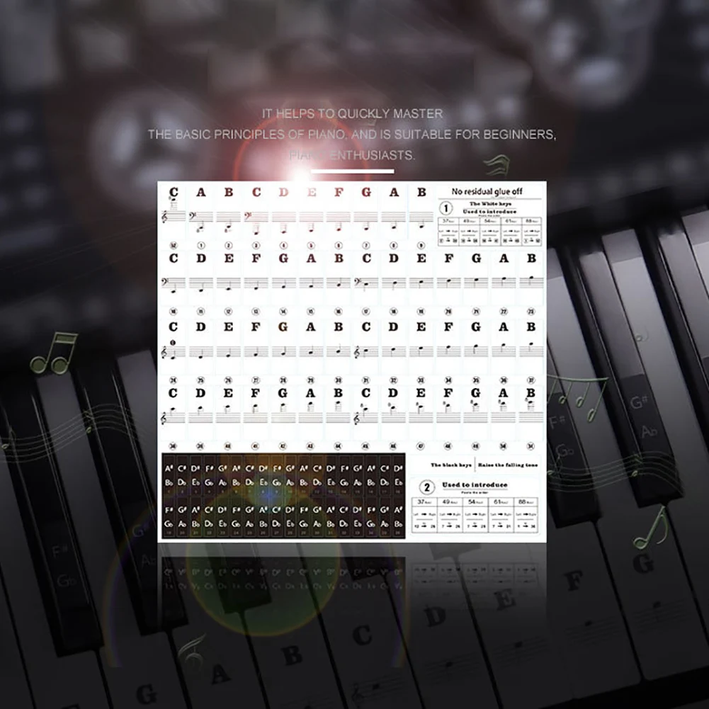 

Transparent 54 61 88 Keys Electronic Keyboard Key Sticker Piano Stave Note Sticker for White Keys