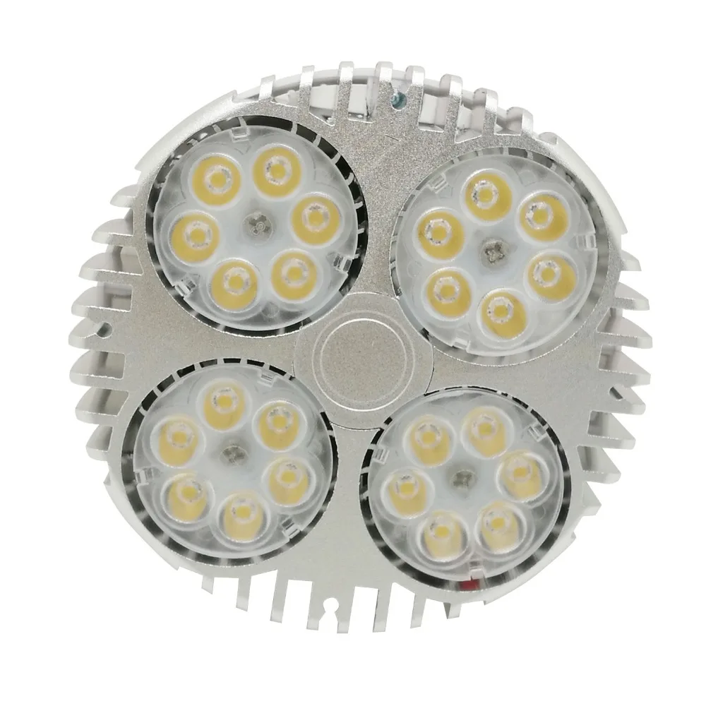 4202777679_886089680 - 副本