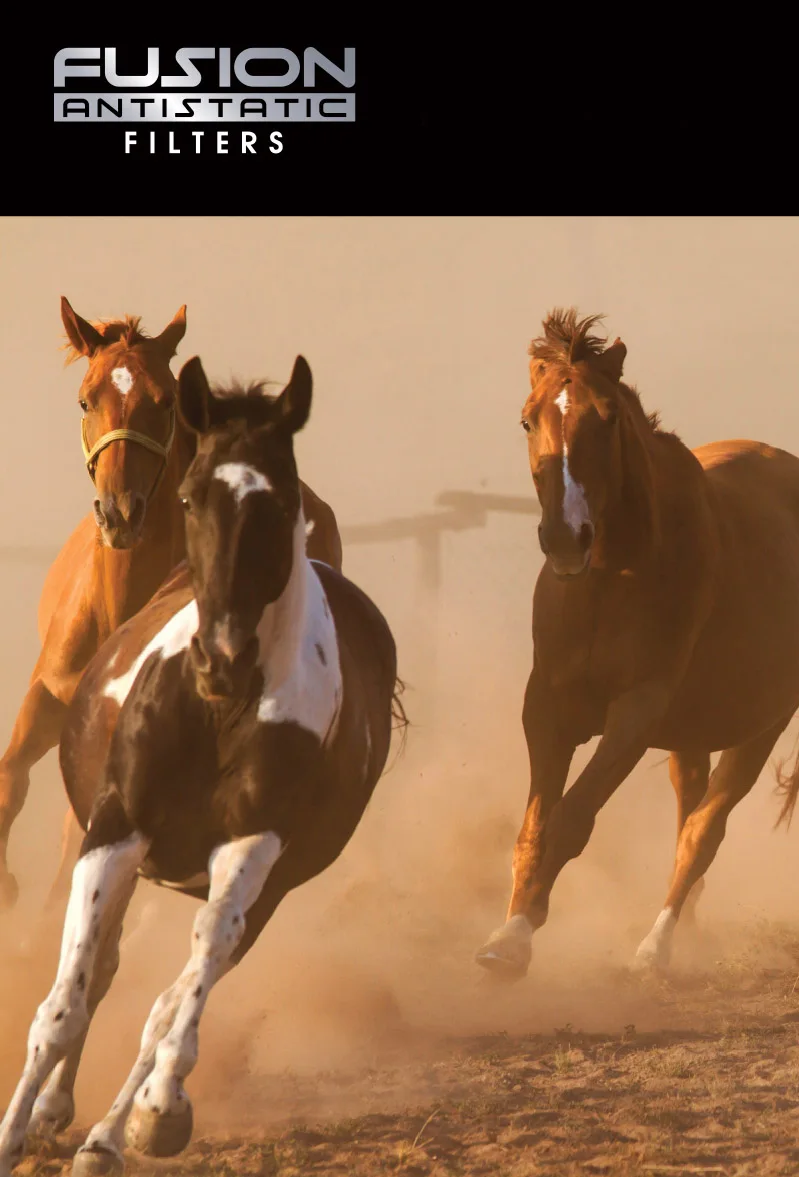 O1CN01Q0irLT1ZJHJF6rRgX_!!33603173