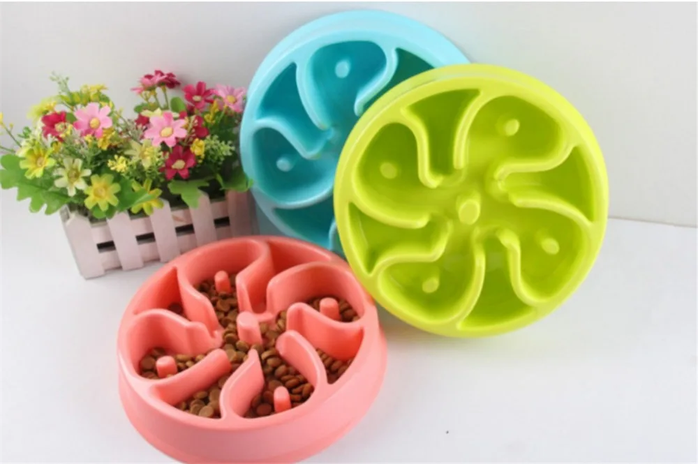 4263919100_2023824408