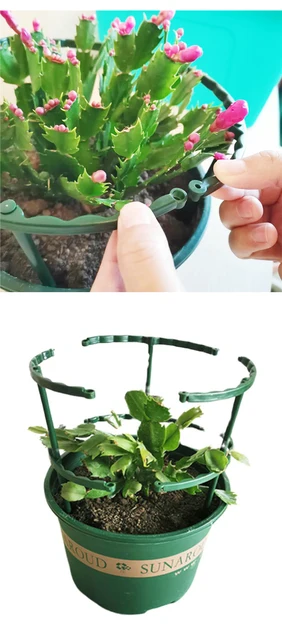 jardinage outillage jardin jardinage potager tuteur plante tuteur pour plante  grimpante Support de plantes en plastique pour fleurs, demi-cercle, serres,  Arrangement, tige de fixation, outil bonsaï, vergers, jardin - AliExpress