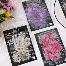 Autocollants petite marguerite fleur rouge violet, étiquette Scrapbook, fournitures de papeterie pour journal intime, offre spéciale, 40 pièces