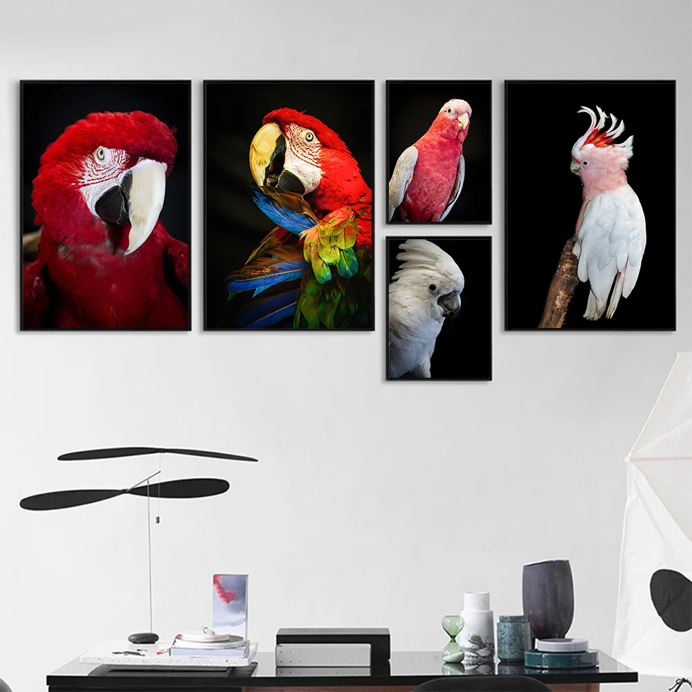

5D Diamond Painting Kit Australian Animal Red Parrot Picture of Rhinestone Mosaic Sale Diamond Embroidery Full Square Room Decor