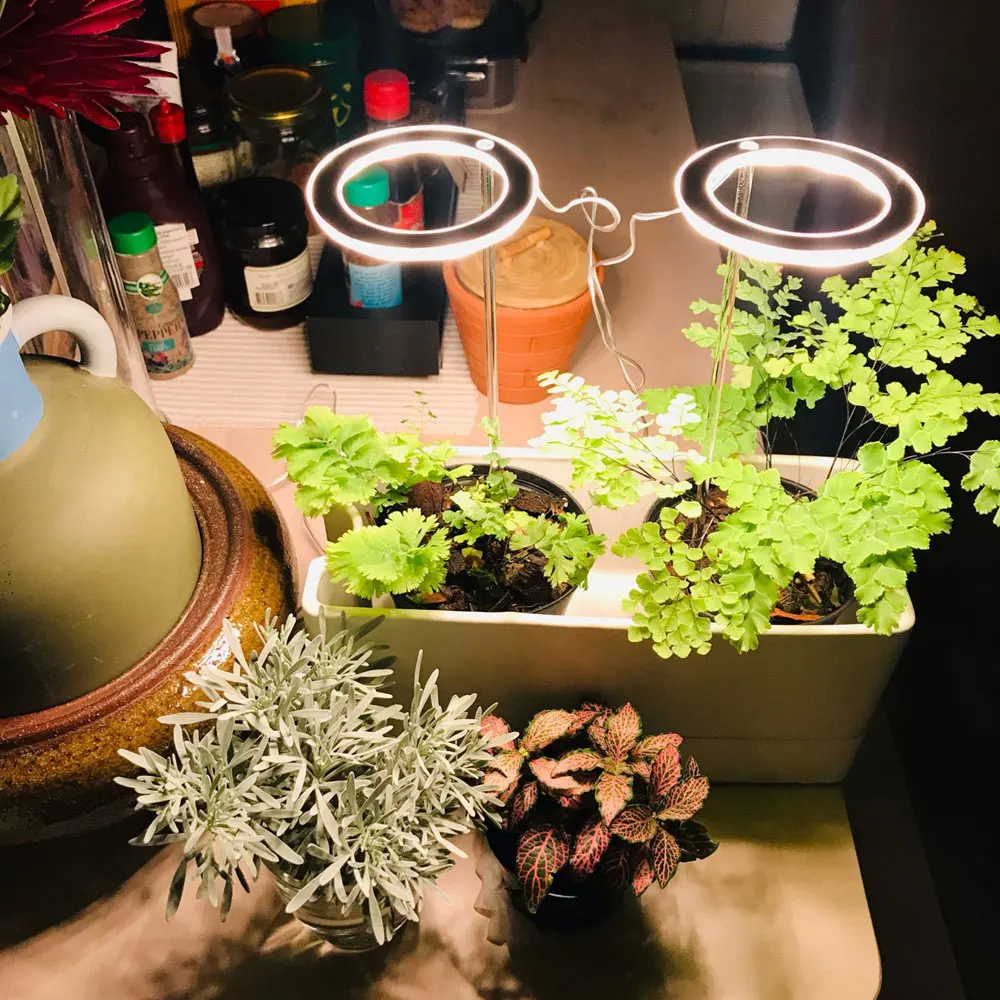 5V LED USB Angel Ring Plant Grow Light Sunlike Indoor Flower Succulet Greenhouse Succulent Full Spectrum Phyto Growth Lamp