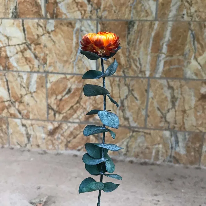 15-30CM/3-5CM Head Real Natural Fresh Preserved Eucalyptus With Forever Dry Chrysanthemum,Eternal Dried Roses Branches For Home