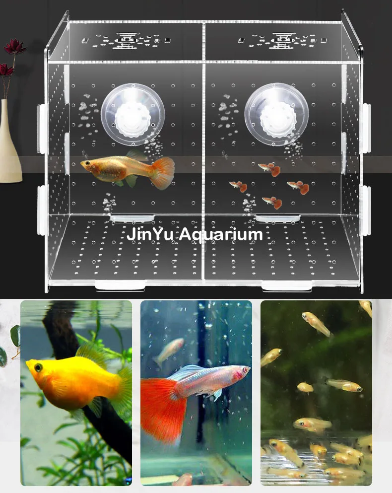 

Aquarium fish hatch box guppy baby sick fish separate hatchery isolate protect separately box arcylic aquarium fish tank