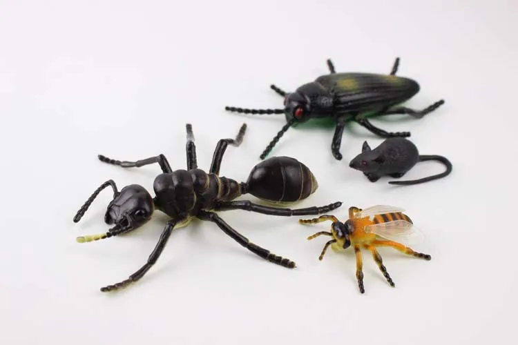 Странная новая модель насекомого большой размер сумка насекомое муравей Mantis паук модель игрушки