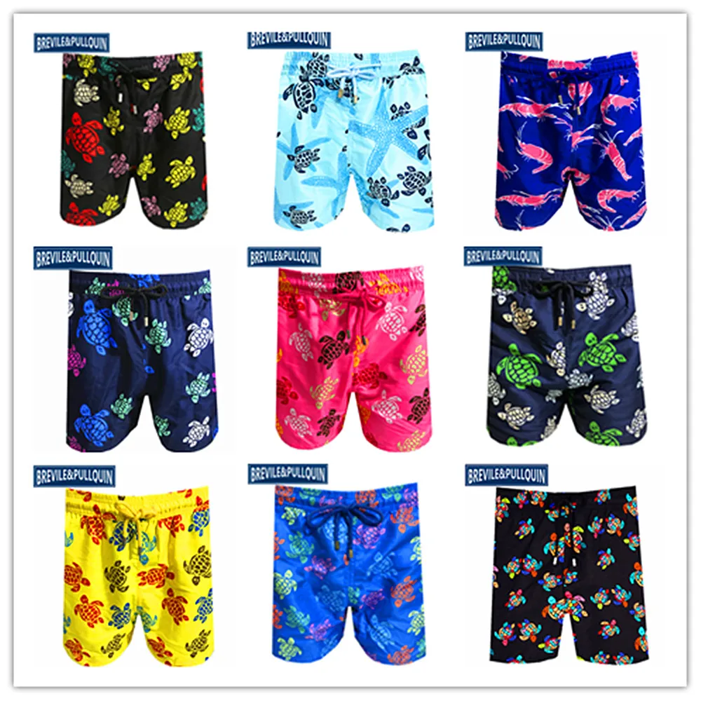 2020 Bermuda Turtles Boys Swimsuit Brand Brevile pullquin Kids Beach ...