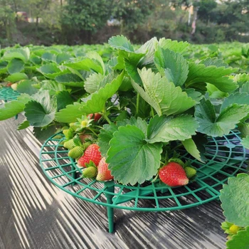 

5pcs Set Of Garden Plant Bracket Balcony Planting Frame Fruit Bracket Plant Flower Climbing Vine Pillar Gardening Stand