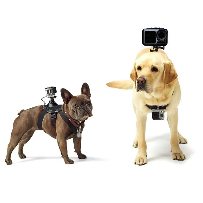Экшн-камера с креплением для собак GoPro Hero 7 6 5 4 Xiaoyi Cam нагрудный ремень установка и разборка проще