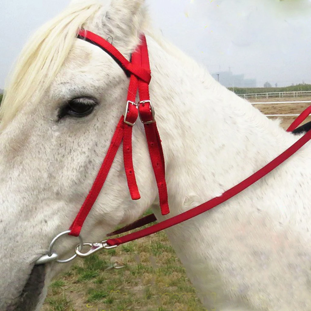 Horse Bridle Horse Rein Headstall Thickened Halter Equestrian Accessories Removable Snaffle Nylon Webbing Horse Riding Equipment