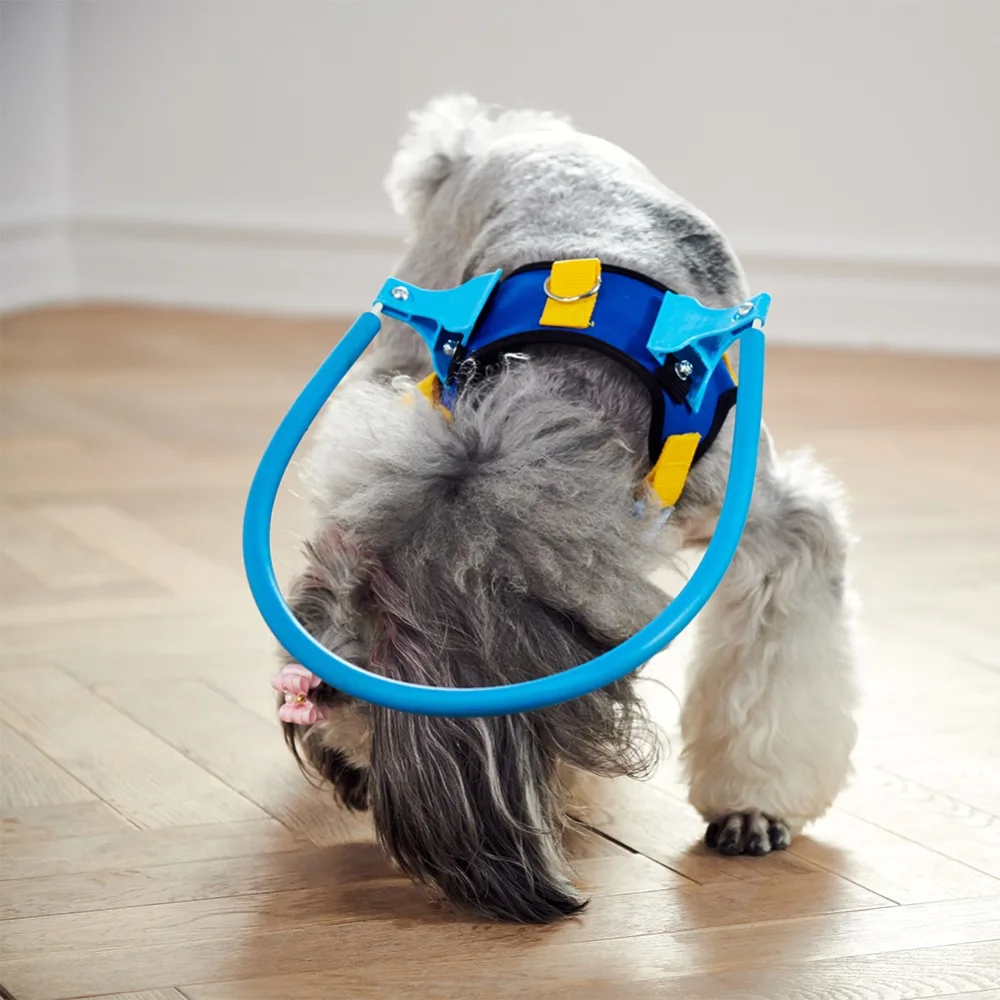 293327_no-logo_293327-1-08