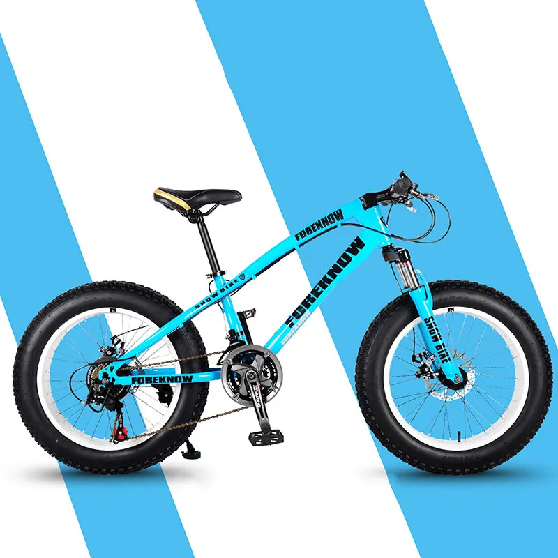 Mountain Bike Off Road Beach Snowmobile Adult Wide Tire Car High Carbon Steel Male and Female Students Bicycle