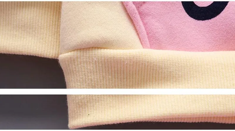 Autumn Baby Girls Clothing Sets Children Warm Hooded Coats And Pants Suit Toddler Boys Thick Velvet Tracksuit Kids Clothes Set (10)