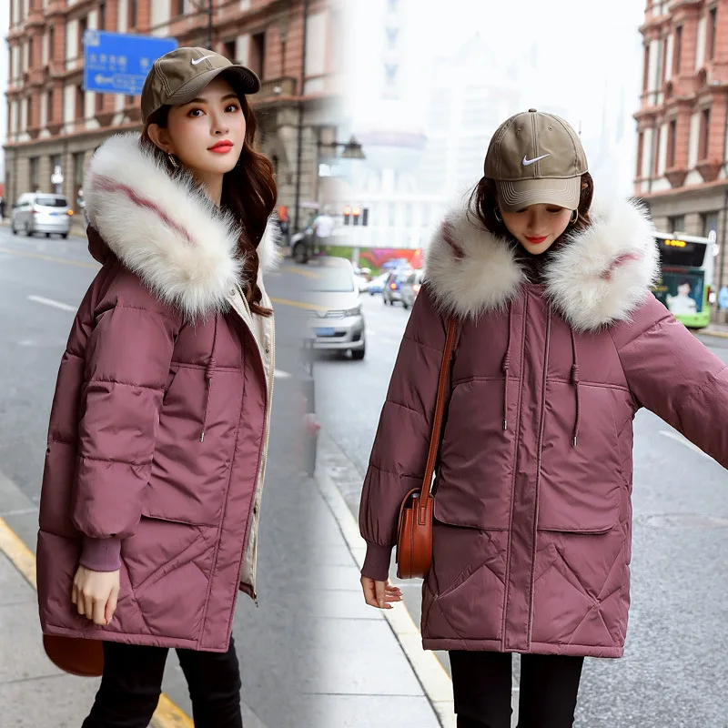 

Photo Shoot 2019 New Style Cotton Coat Women's Korean-style Dongdaemun Loose-Fit BF Students Cotton-padded Clothes INS Hong Kong