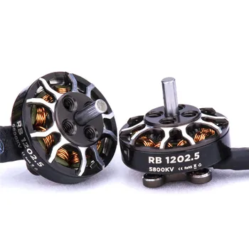 

Flywoo ROBO Series Motor RB 1202.5 5800KV 2-4S 2mm Shaft Brushless Motor For Toothpick FPV Racing RC Drone