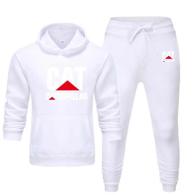 Новинка, мужская толстовка с капюшоном и принтом гусеницы, logo2-piece набор, мужская толстовка с капюшоном+ штаны, зимний модный Повседневный Топ - Цвет: 18