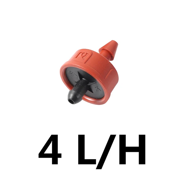 4L
