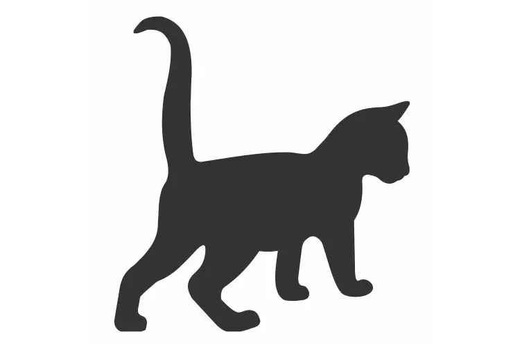 Кот ходящий по бокам дороги смотрит на переднюю машину наклейки украшение