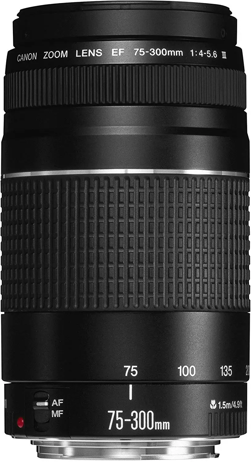 

SPECIAL PRICE !!USED Canon EF 75-300mm f/4-5.6 III USM Telephoto Zoom Lens for Canon SLR Cameras