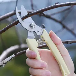 Tondeuse à vergers et outils manuels de jardin, bonsaï pour ciseaux de jardinage, Machine à découper, ciseaux de taille, débroussailleuse professionnelle 