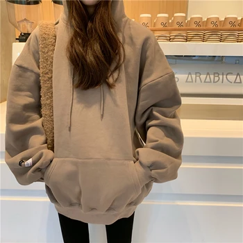 

5 colors 2019 autumn and winter korean style solid color thicking hoodies womens warm sweatshirts and pullovers (R99964)