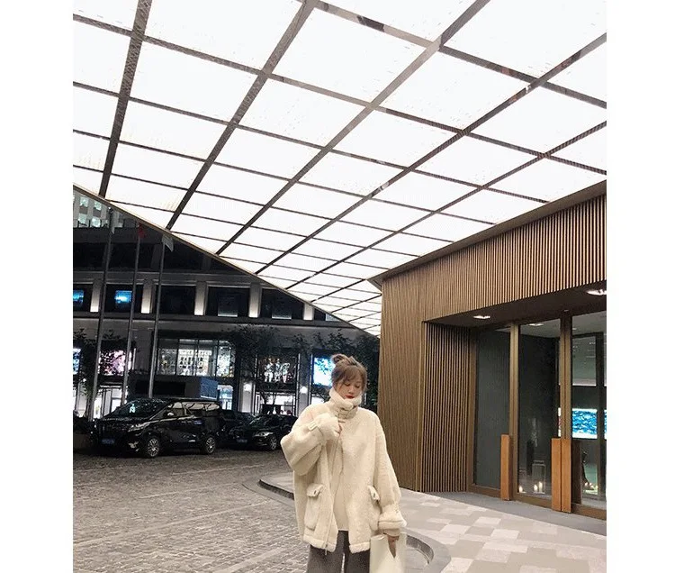 Women's Fur Coat Korean Coat Wild Lamb White Fur Coat Plush Motorcycle Clothing Fur One Loose Faux Fur Coat Furry Jacket