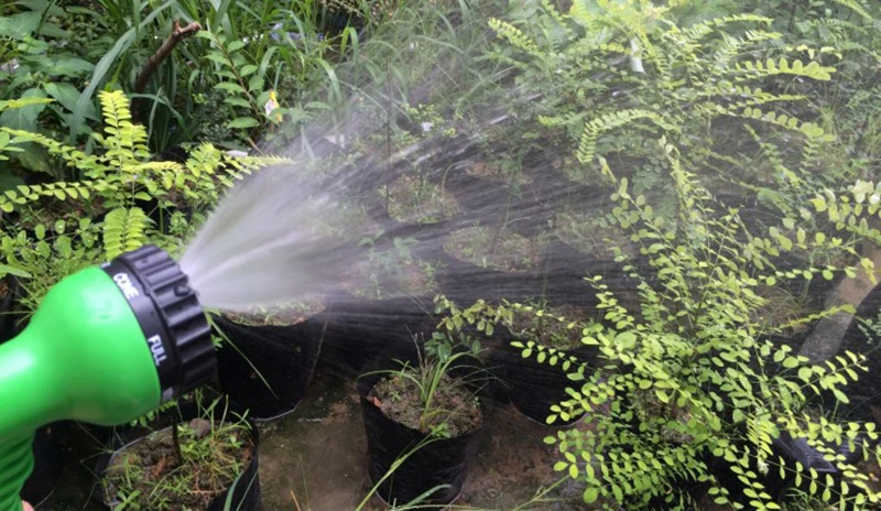 HTB1QIOHbfJNTKJjSspoq6A6mpXaH